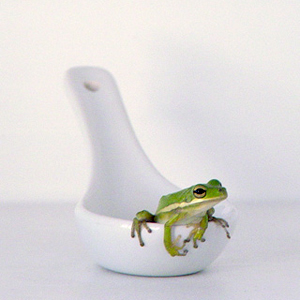 Frog Soup Web Design